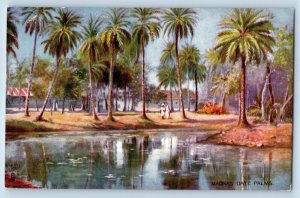 Chennai Madras Tamil Nadu India Postcard Date Palms River c1910 Oilette Tuck Art