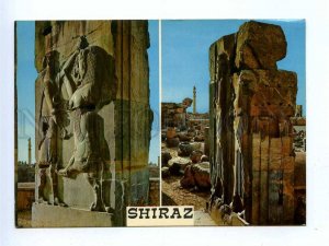 192798 IRAN SHIRAZ Perspolis old photo postcard