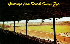 Vtg Kent & Sussex Fair Grandstand & Track Harrington Delaware DE Unused Postcard