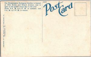 Hippopotamus Fatima and Calf Fairmount Park Philadelphia PA Vintage Postcard N06