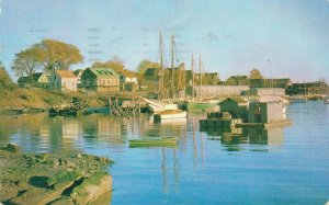 USA Camden Maine Chrome Postcard  07.37