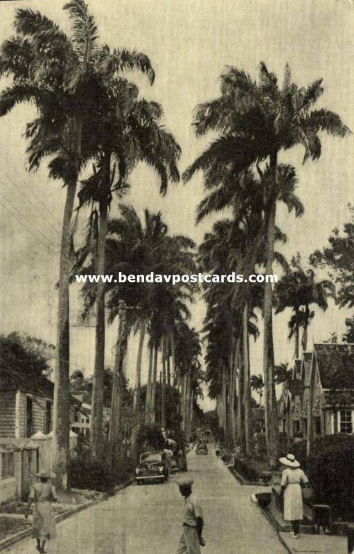 barbados, B.W.I., Avenue of Palms (1959) Stamps, Dutch Edition