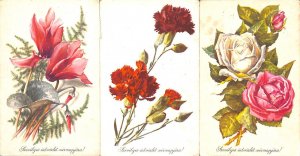 Lot of 3 greetings postcards Hungary flowers 1960`s 