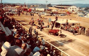 Lunenburg County Exhibition Bridgewater Unused 