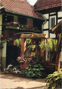 Postcard France Alsace pittoresque Haute Rhin