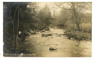 PA - Canadensis, Poconos. Trout Stream Near Spruce Cabin Inn ca 1911 RPPC