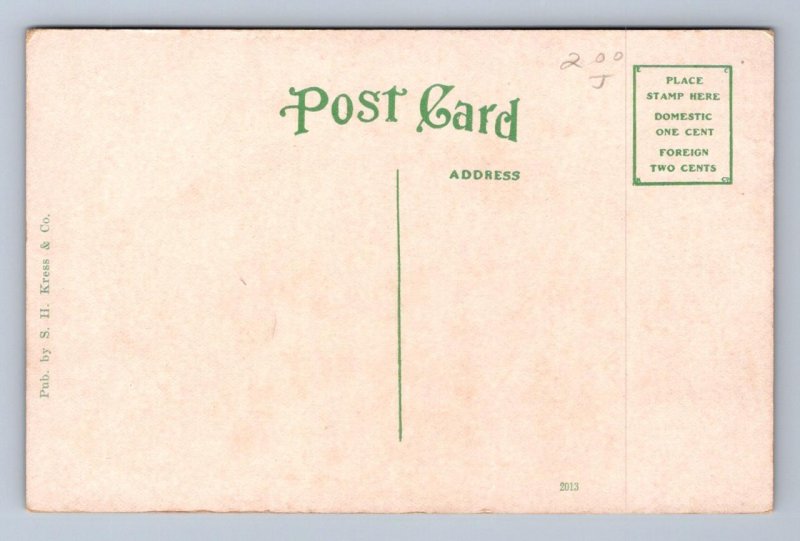 DE SOTO HOTEL TAMPA FLORIDA POSTCARD (c.1910)