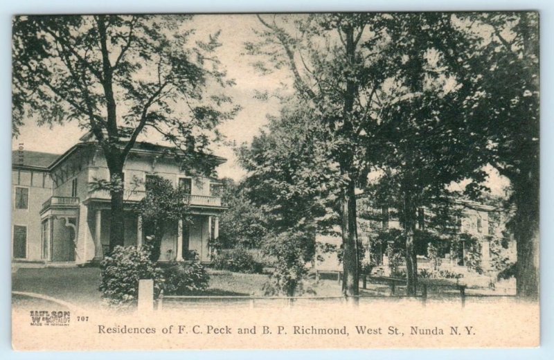 NUNDA, New York NY ~ Residences F.C. PECK & B.P. RICHMOND West Street  Postcard