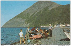 Fisherman cleaning Halibut on the beach, Mont St. Pierre East in distance, Ga...