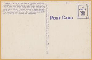 Milwaukee, WIS., Barless Bear Den, Washington Park - 