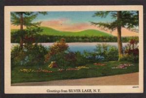 NY Greetings from SILVER LAKE NEW YORK PC Postcard