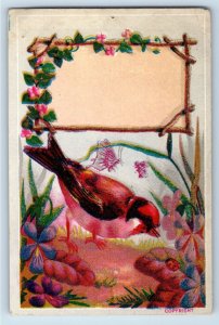 1880s Victorian Trade Cards Wild Birds Insects Dragonfly Set Of 4 P198