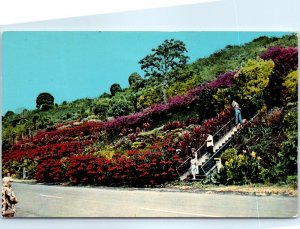 Postcard - Machado Gardens, Kona - Kealakekua, Hawaii