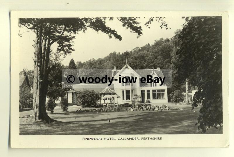 tp8331 - Scotland - The Pinewood Hotel and Grounds, in Callander - Postcard