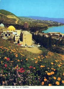 VINTAGE CONTINENTAL SIZE POSTCARD TIBERIAS SEA OF GALILEE ISRAEL