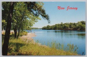 State View~Burlington County NJ~Mirror Lake at Brown Mills~Vintage Postcard
