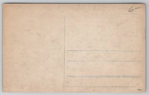 RPPC Prof Felix Schmidt Berlin Germany Postcard L38