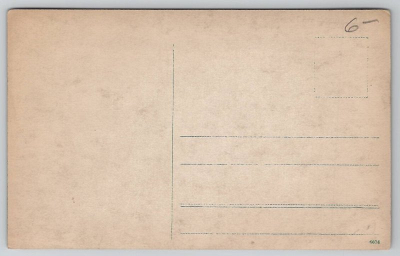 RPPC Prof Felix Schmidt Berlin Germany Postcard L38