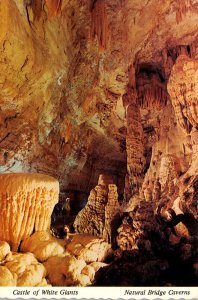 Virginia Natural Bridge Caverns Castle Of White Giants