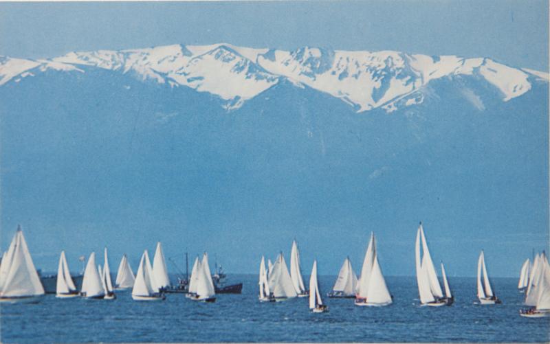 Sailboats from Victoria BC Olympic Mountains WA Wash. Sea Unused Postcard D32