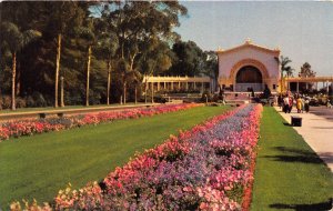 San Diego California 1960s Postcard Balboa Park Largest Outdoor Organ