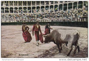 Bull Fight Estocada 1917