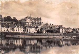 BR16403 Amboise Chateau d Amboise   france