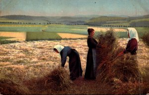 Farming Scene Harvesting Hay