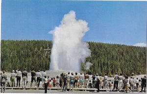 Crowd Watching Old Faithful Geyser in Yellowstone National Park Wyoming