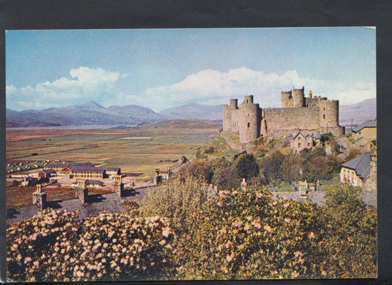 Wales Postcard - Harlech Castle, Merioneth     RR4134