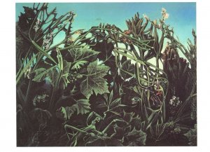Max Ernst La Joie De Vivre Scottish Art Gallery Painting Postcard