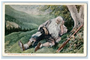 c1920s Rip Van Winkle, Catskill Mountains New York NY Unposted Postcard 