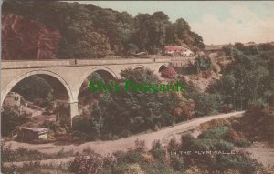 Devon Postcard - In The Plym Valley SW7701