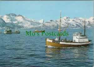 Norway Postcard - Fishing Boats at Lofoten   RR8909