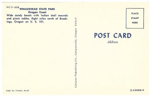 Whaleshead State Park Oregon Vintage Chrome  Postcard