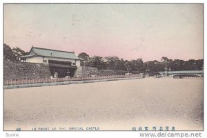 In Front Of The Imperial Castle, Japan, PU-1907