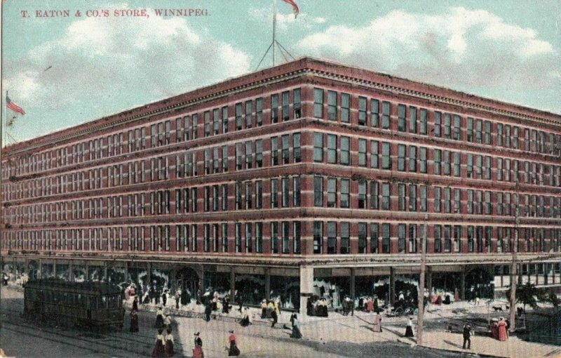 Postcard T Eaton & Co Store Winnipeg Canada