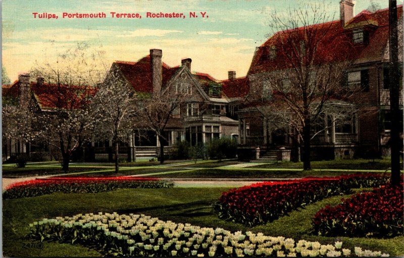 Vtg 1910s Tulips Portsmouth Terrace Rochester New York NY Postcard