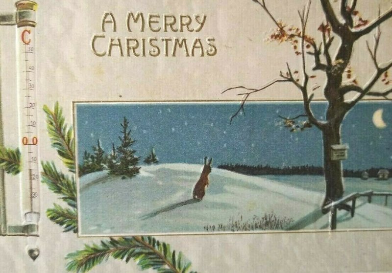 Christmas Postcard Bunny Rabbit In Snow Crescent Moon Thermometer Embossed Card 