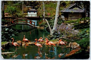 M-79397 Flamingos and graceful swans Bellingrath Gardens and Home Theodore Al...