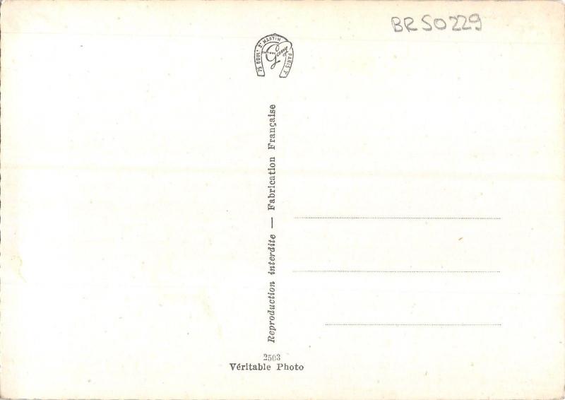 BR50229 Chambord le chateau facade sud est      France