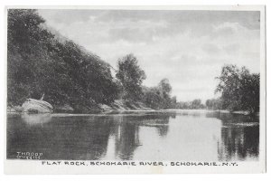 Flat Rock, Schoharie River, New York Unused, Divided Postcard, Throop Druggist