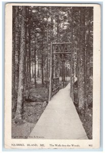 1919 Squirrel Island Maine ME, The Walk Thru The Woods Antique Posted Postcard 