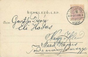 Lovely cats 1899 chromo postcard