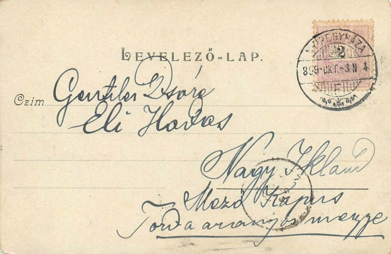 Lovely cats 1899 chromo postcard