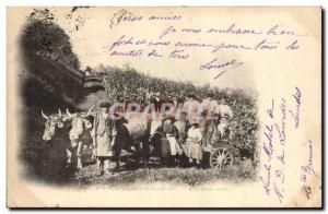 Postcard Old Wine Harvest Harvest Pyrenees Tank Top