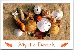 VINTAGE CONTINENTAL SIZE POSTCARD PLENTIFUL SEASHELLS ON MYRTLE BEACH S.C. 