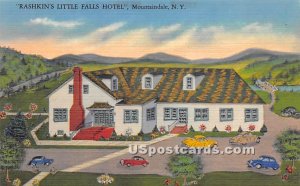 Rashkin's Little Falls Hotel - Monticello, New York NY  