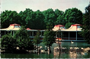 Chilean Flamingos Budwieser Pavilion UP Water Wildlife Trees River Postcard VTG 