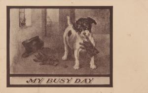 My Busy Day Dog Puppy Dog's Life Sepia-Gravure Series 160 Postcard D32 *As Is